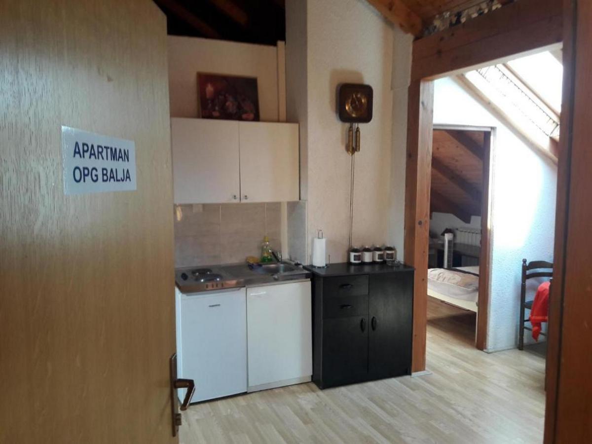 Apartman Opg Balja Garesnica エクステリア 写真
